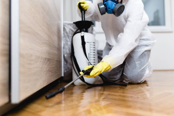 Best Emergency Pest Control  in Broadway, VA