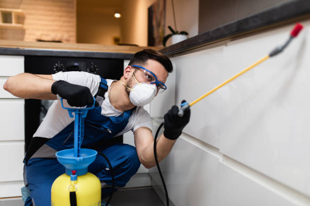 Best Pest Removal Services  in Broadway, VA
