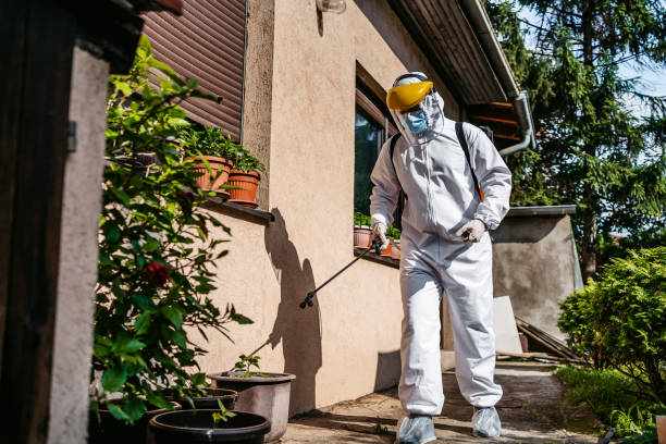 Professional Pest Control in Broadway, VA