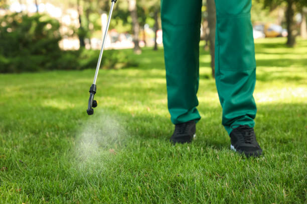 Best Bed Bug Extermination  in Broadway, VA