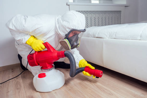 Best Emergency Pest Control  in Broadway, VA