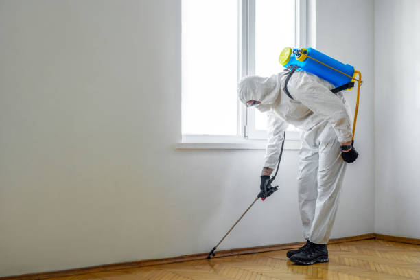  Broadway, VA Pest Control Pros