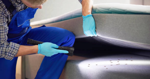 Best Best Pest Control Companies  in Broadway, VA