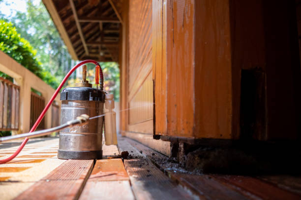 Best Cockroach Control Services  in Broadway, VA