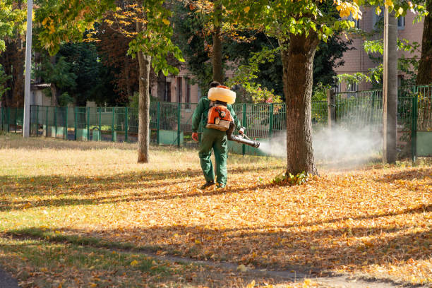 Insect Control in Broadway, VA
